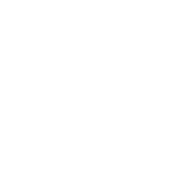 logo light